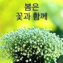 출석글❤️4월12일 금 요일❤️아침을 열기 위해 나는 달립니다 이미지