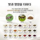 프로에너지 이미지