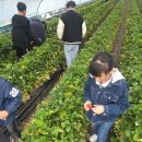 계명대북대구태권도 | 계명태권도 아이들과 함께 성장할 수 있는 공간, 계명대북대구태권도
