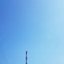 성미