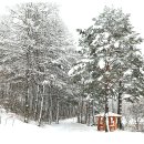 안동여자고등학교 이미지