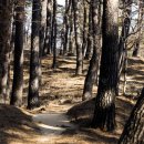 트리플펜션&글램핑 이미지