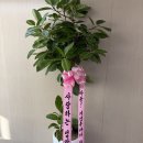 어쩌다 개업까지~ 이미지