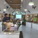와동체육공원 이미지