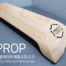 둥근힘 프롭운동 이미지