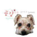 인천터미널롯데닥스