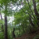 덕봉쉼터 이미지