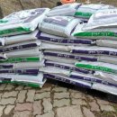 블루베리 자재구입 이미지