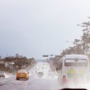 한라식당 이미지