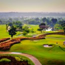 시암아시아 이미지