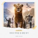 (스포O) 무파사 라이온 킹 관람 후기 리뷰 + 쿠키 정보