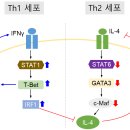 도두글로벌