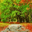 최*춘 - 가평군 백둔로 | 최*춘
