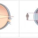 원시로1 이미지