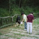 형권목장 이미지