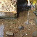 범룡골 약수터 이미지