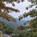 하미양 펜션 이미지