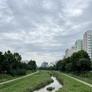 유성마을버스㈜ | 대전 유성 피부관리샵 더예쁜날 물광리프팅 받고 왔어요! 가을철 필수 관리!