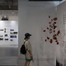 부산에서 만난 제주4.3 기록물 세계기록유산 등재 1주년 기념 특별전 방문 후기