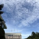 용산도서관 | 서울특별시교육청 남산도서관 이용후기 서울시 용산구 가볼 만한 곳 추천