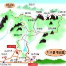 버스터미널 고가아래 Daum카페