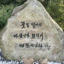 파인그로브 이미지