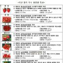 행복딸기지리산가는길에