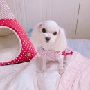 꽁이옷장 이미지