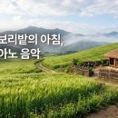 상쾌한 시골 청보리밭의 아침, 힐링 피아노 음악 🎵#30 힐링음악, 힐링풍경, 스트레스해소음악, Hearing for Healing 이미지