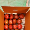 유수농장 이미지