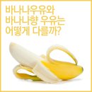 바나나우유와 바나나향 우유는 어떻게 다를까? 이미지