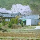 꽃피는마을 이미지