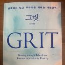 그릿(Grit) 이미지