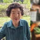 엘지김밥 이미지