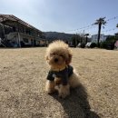 사등운동장 이미지