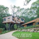 트리하우스 이미지