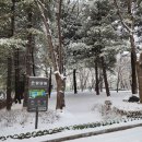 은빛77번길 이미지