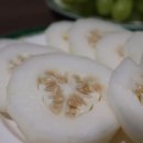 자레와 민박 이미지