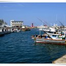 수영목장 이미지