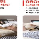 아이봄동물병원 이미지