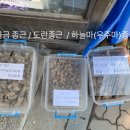 일동농약사 이미지