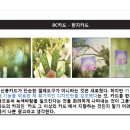 비씨커뮤니케이션즈