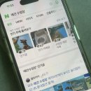 개리비안베이 이미지