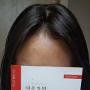 여우가발모심위그