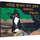 고양이이야기 이미지