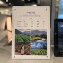 다다정찬 이미지