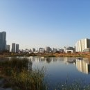 미사호수공원 이미지