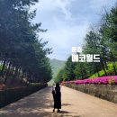 무명교량 하부 운동기구 옆 | [경북 문경] 잊을만하면 아이와 방문하게 되는 문경에코월드 후기