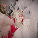 세종병원장례식장 - 계양구 계양문화로 20 | 세종병원장례식장