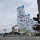 월출산플라워